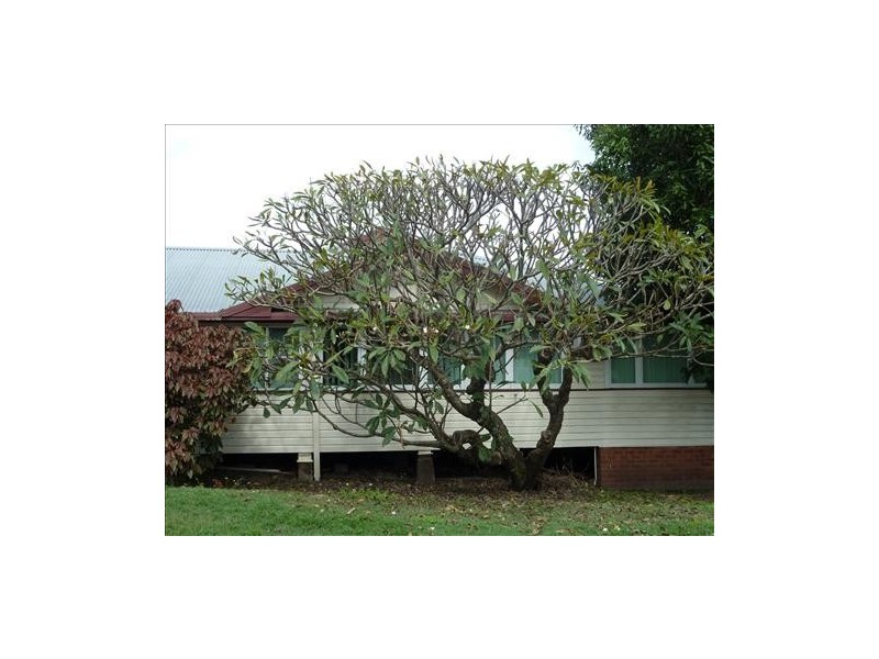 174 Summerland Way, Kyogle NSW 2474