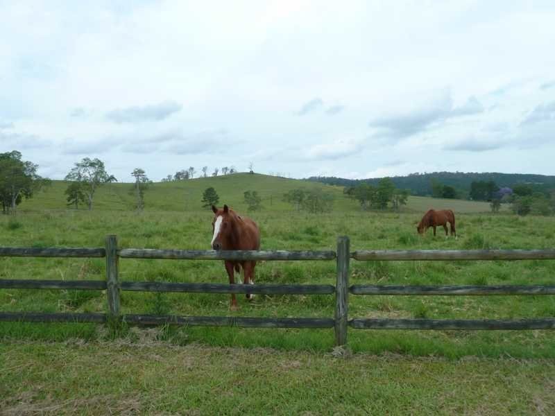 184 Pines Road, Kyogle NSW 2474