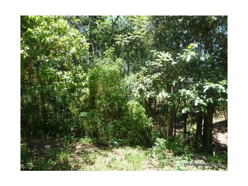 16 Campbell Road, Kyogle NSW 2474