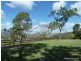 66 Omagh Road, Kyogle NSW 2474