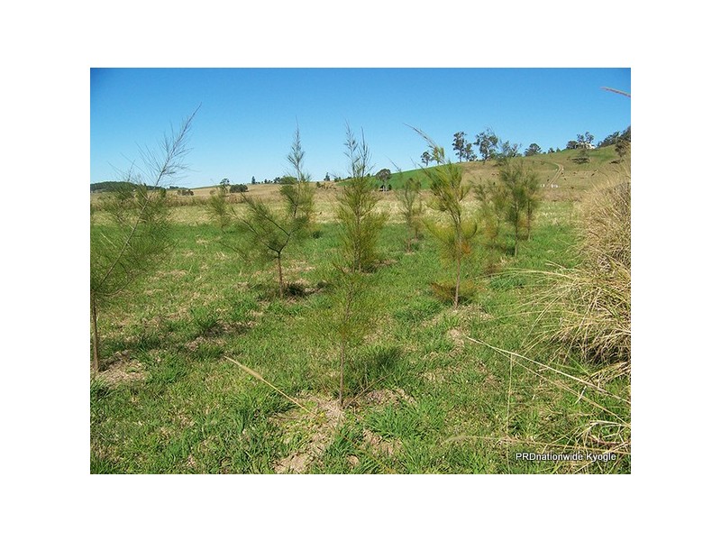 12 Pines Road, Edenville NSW 2474
