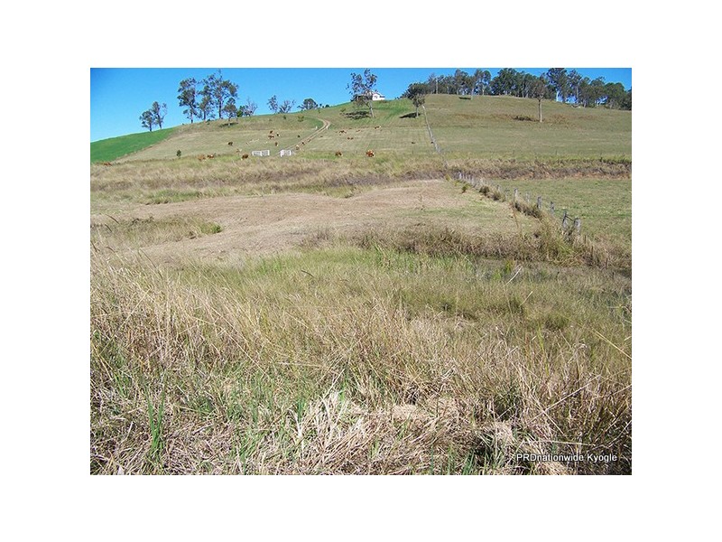 12 Pines Road, Edenville NSW 2474