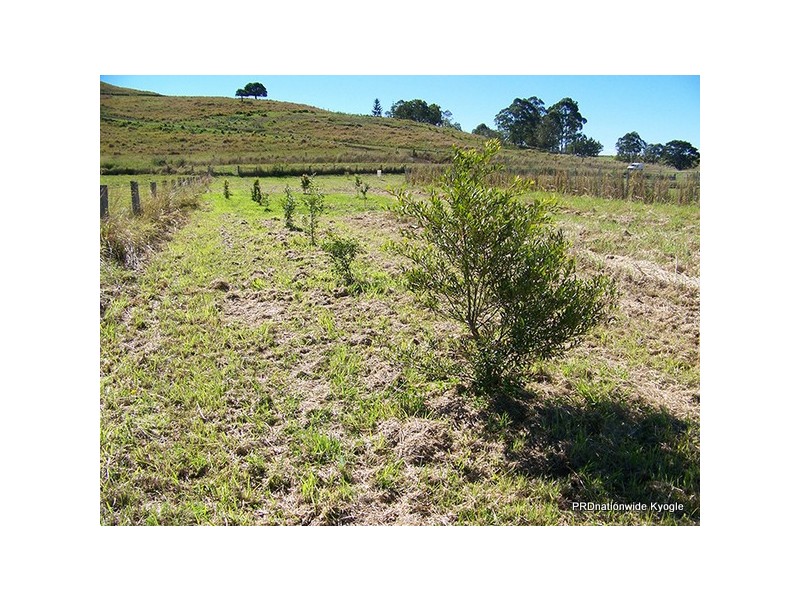 12 Pines Road, Edenville NSW 2474