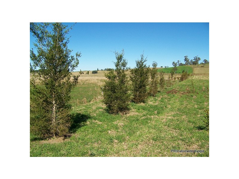 12 Pines Road, Edenville NSW 2474