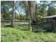 3205 Summerland Way Grevillia Via, Kyogle NSW 2474