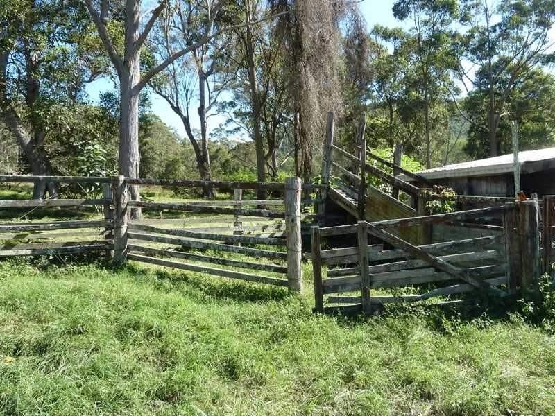 3205 Summerland Way Grevillia Via, Kyogle NSW 2474