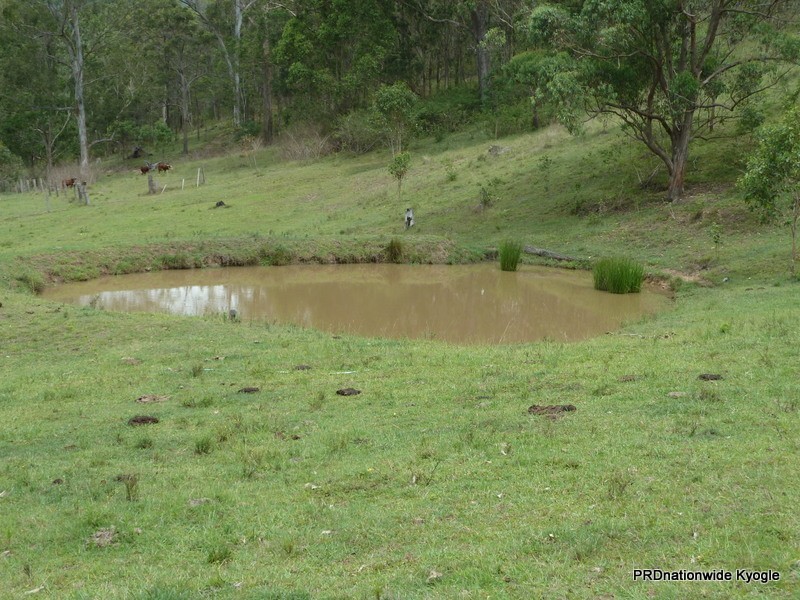 3205 Summerland Way Grevillia Via, Kyogle NSW 2474