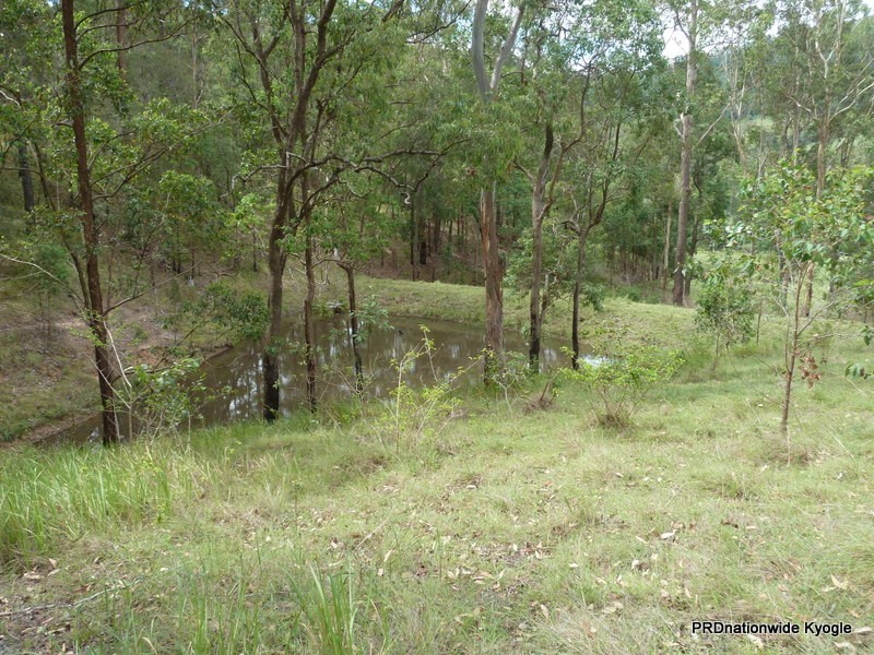 3205 Summerland Way Grevillia Via, Kyogle NSW 2474