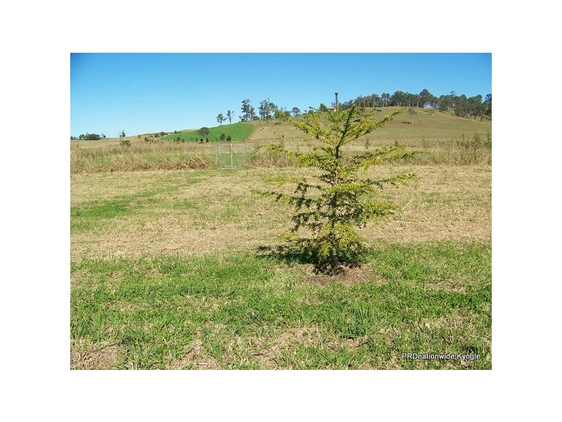 12 Pines Road, Kyogle NSW 2474