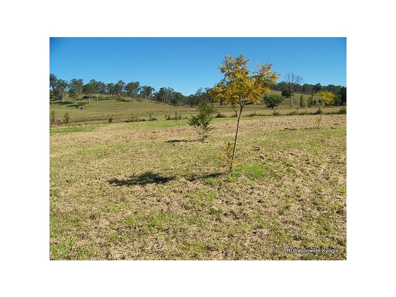 12 Pines Road, Kyogle NSW 2474