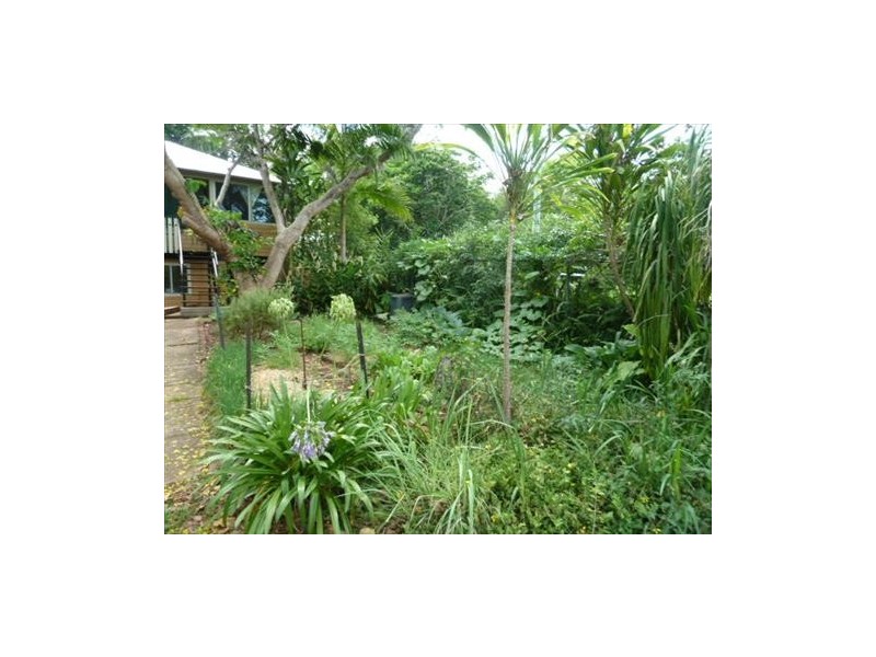 8 Rous Street, Kyogle NSW 2474