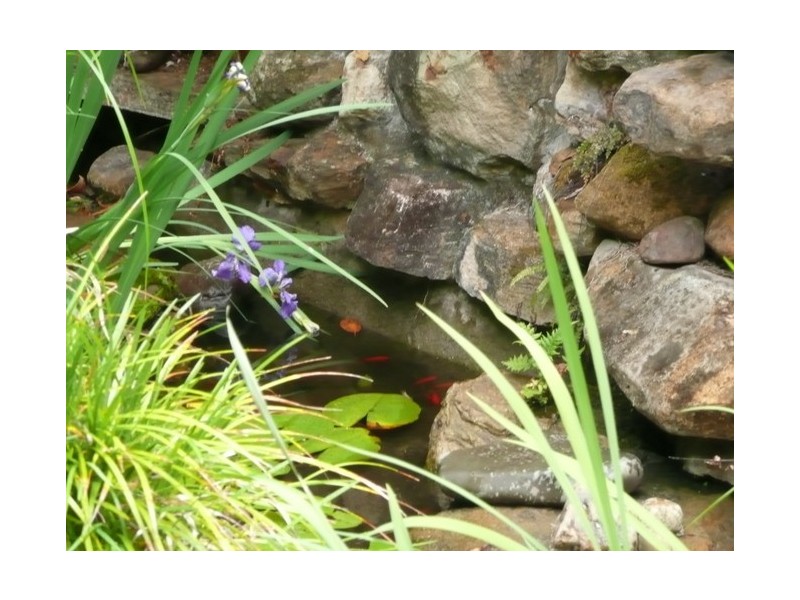 26 Pratt Street, Kyogle NSW 2474