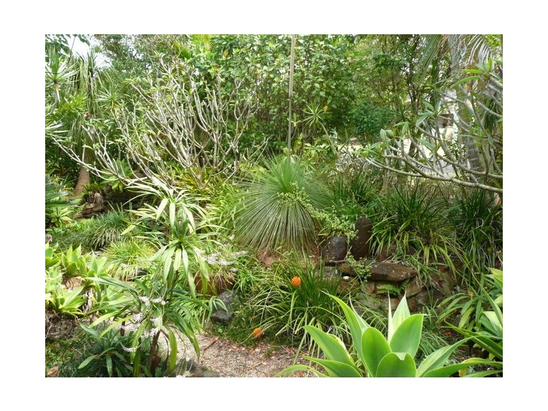 26 Pratt Street, Kyogle NSW 2474