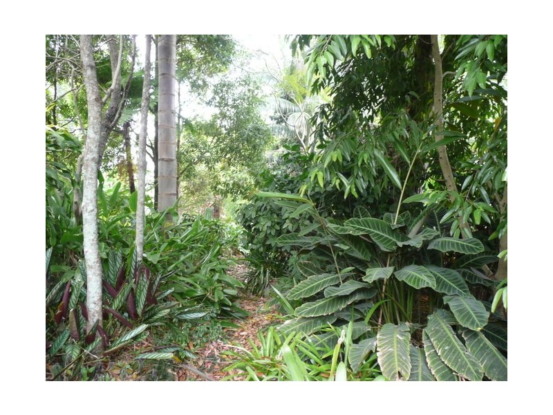 26 Pratt Street, Kyogle NSW 2474