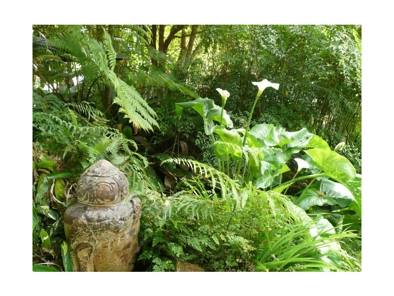 26 Pratt Street, Kyogle NSW 2474