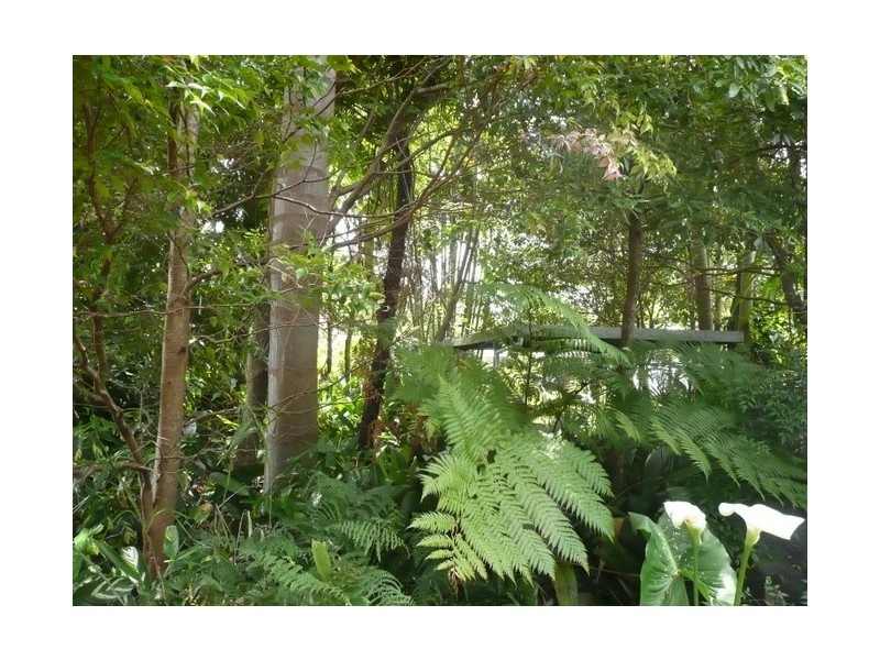 26 Pratt Street, Kyogle NSW 2474