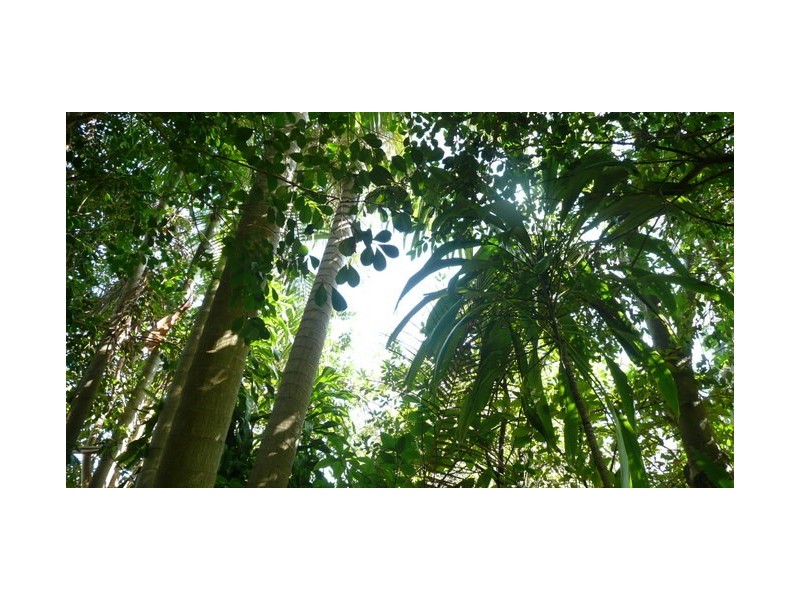 26 Pratt Street, Kyogle NSW 2474