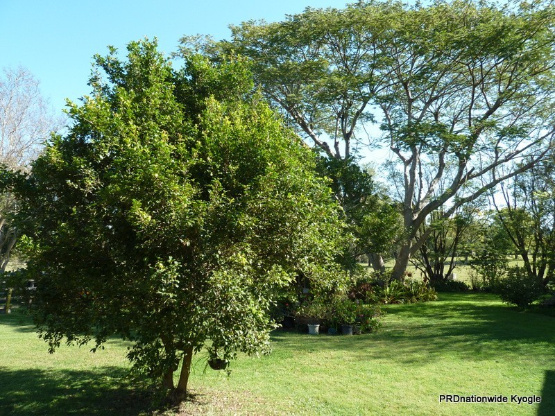 18-30 Larkin Street, Kyogle NSW 2474