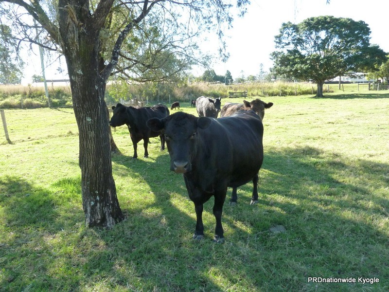 18-30 Larkin Street, Kyogle NSW 2474