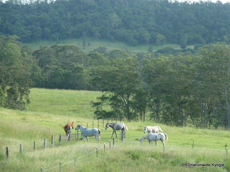 23 Newtons Road, Kyogle NSW 2474