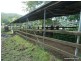 23 Newtons Road, Kyogle NSW 2474