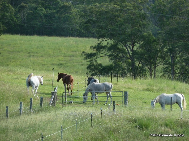 23 Newtons Road, Kyogle NSW 2474