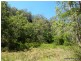 340 Peacock Creek Rd, Gorge Creek, Bonalbo NSW 2469