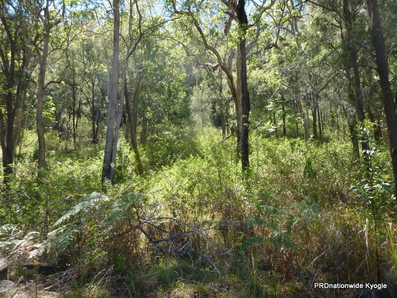 340 Peacock Creek Rd, Gorge Creek, Bonalbo NSW 2469