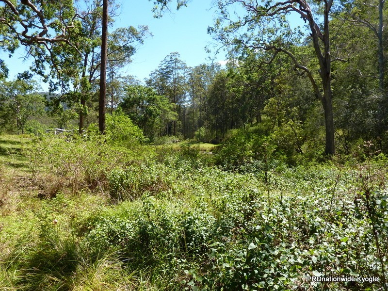 340 Peacock Creek Rd, Gorge Creek, Bonalbo NSW 2469