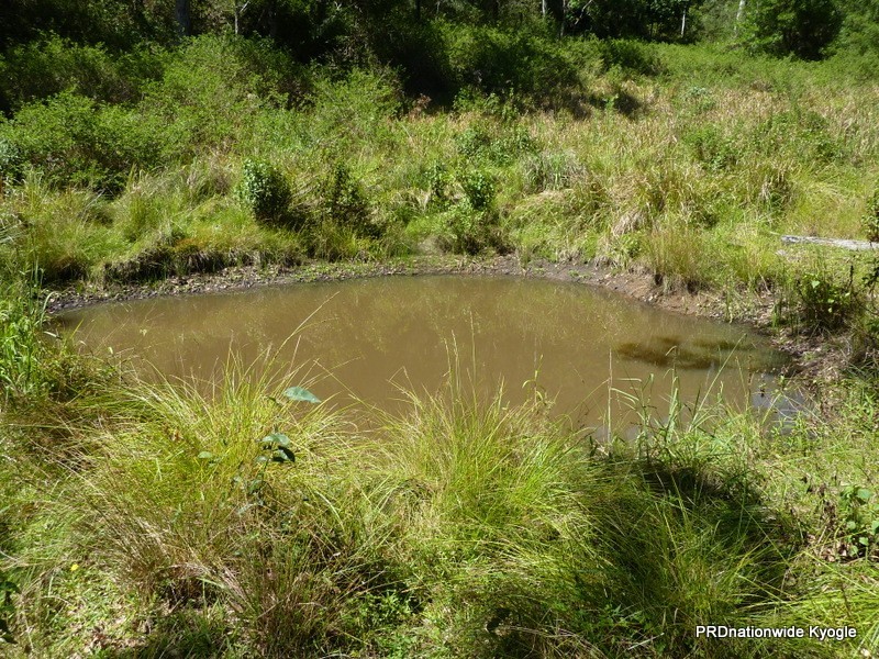 340 Peacock Creek Rd, Gorge Creek, Bonalbo NSW 2469