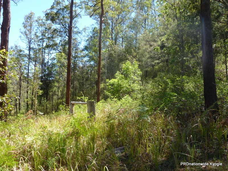 340 Peacock Creek Rd, Gorge Creek, Bonalbo NSW 2469