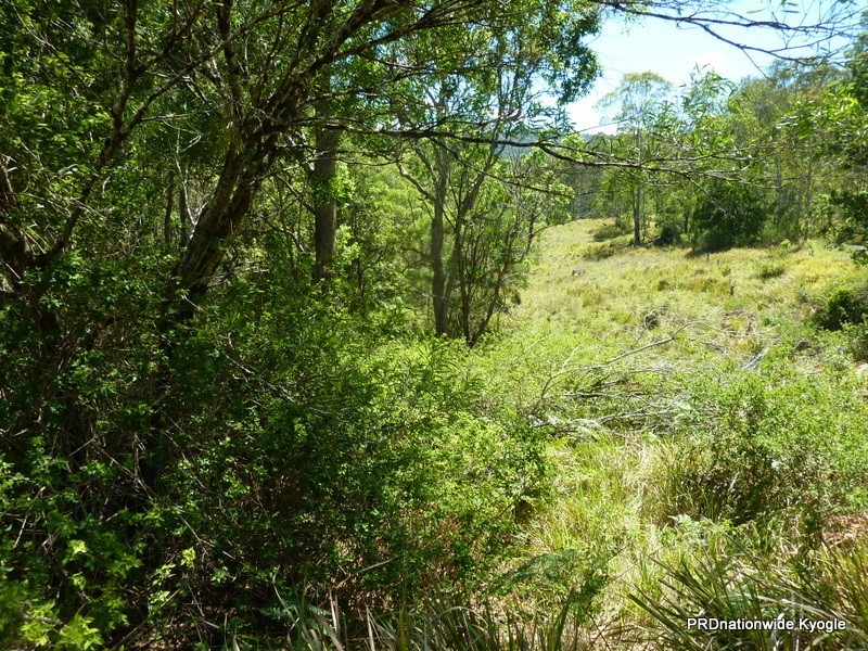 340 Peacock Creek Rd, Gorge Creek, Bonalbo NSW 2469