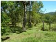 340 Peacock Creek Rd, Gorge Creek, Bonalbo NSW 2469