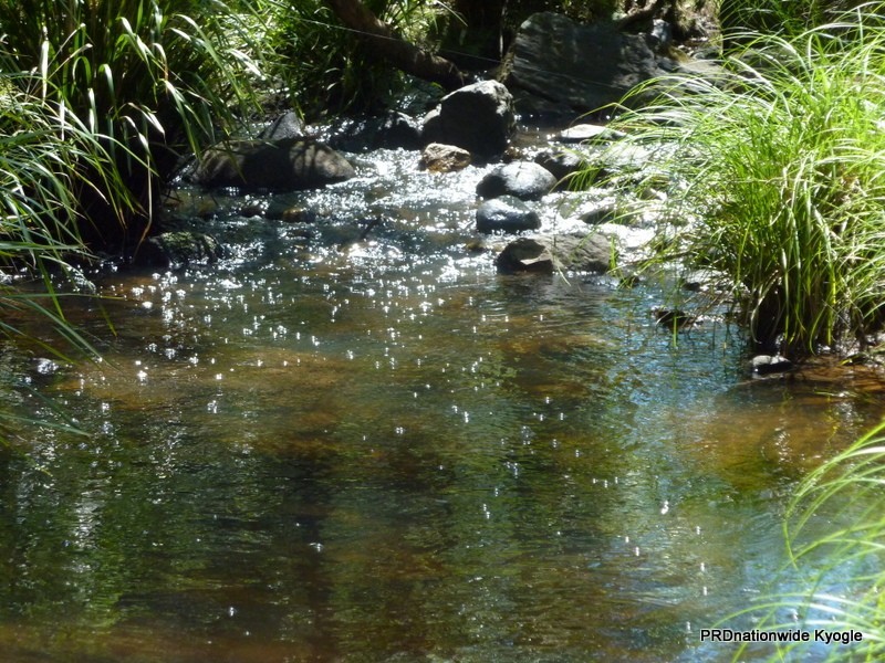 340 Peacock Creek Rd, Gorge Creek, Bonalbo NSW 2469