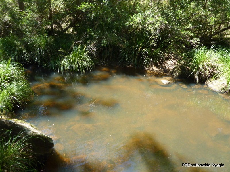 340 Peacock Creek Rd, Gorge Creek, Bonalbo NSW 2469