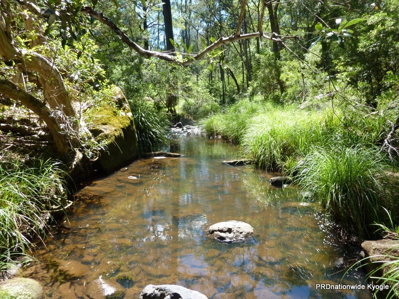 340 Peacock Creek Rd, Gorge Creek, Bonalbo NSW 2469