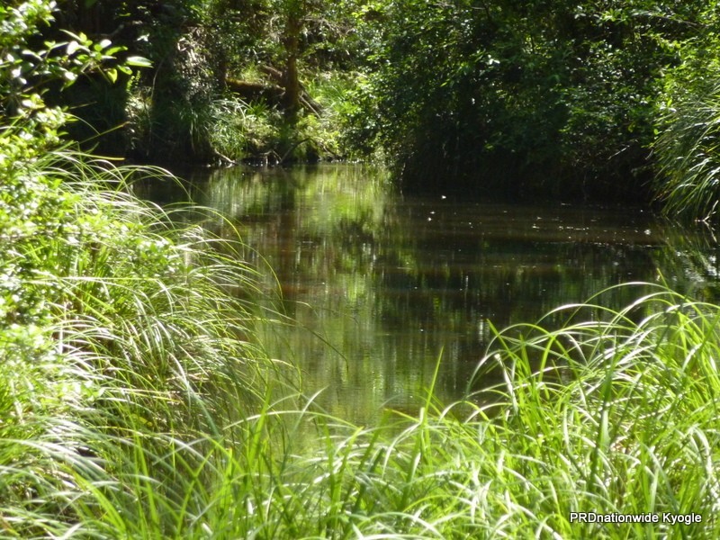 340 Peacock Creek Rd, Gorge Creek, Bonalbo NSW 2469