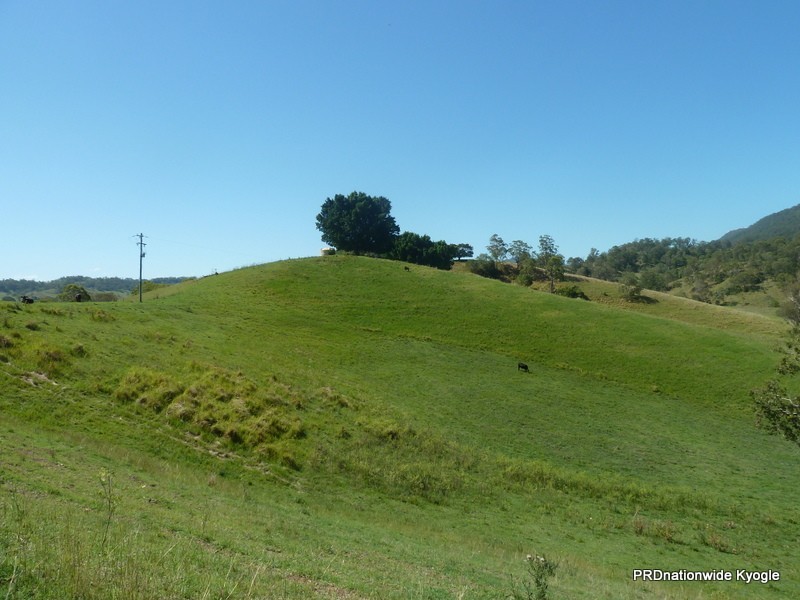 718 Back Creek Road, Kyogle NSW 2474