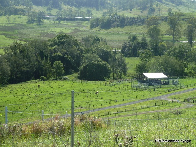718 Back Creek Road, Kyogle NSW 2474