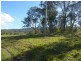Lot 5 Cawongla Road, Cawongla NSW 2474