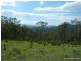 1061 A Lynches Creek Road, Kyogle NSW 2474
