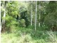 1061 A Lynches Creek Road, Kyogle NSW 2474