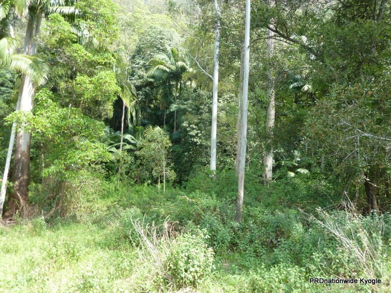 1061 A Lynches Creek Road, Kyogle NSW 2474