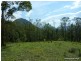 1061 A Lynches Creek Road, Kyogle NSW 2474