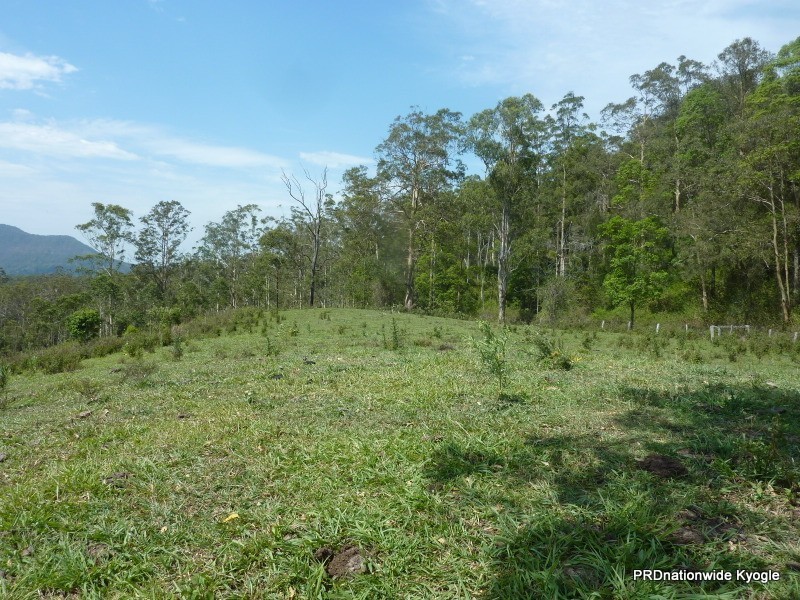 1061 A Lynches Creek Road, Kyogle NSW 2474