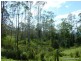 1061 A Lynches Creek Road, Kyogle NSW 2474