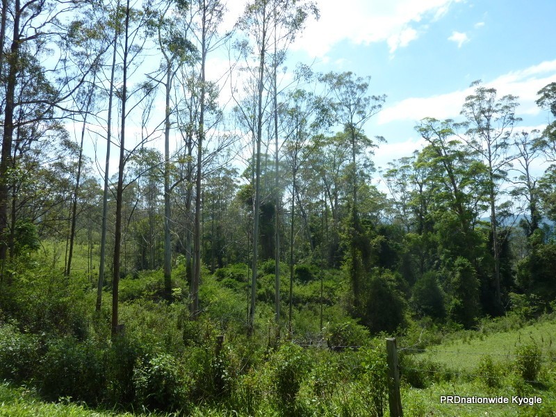 1061 A Lynches Creek Road, Kyogle NSW 2474