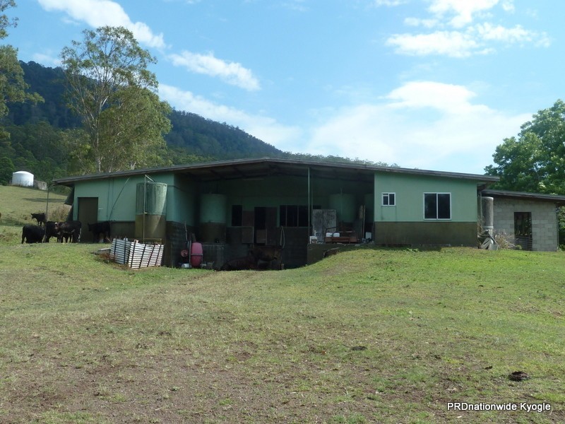 1061 Lynches Creek Road, Kyogle NSW 2474