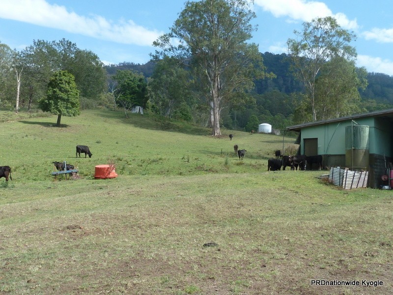 1061 Lynches Creek Road, Kyogle NSW 2474
