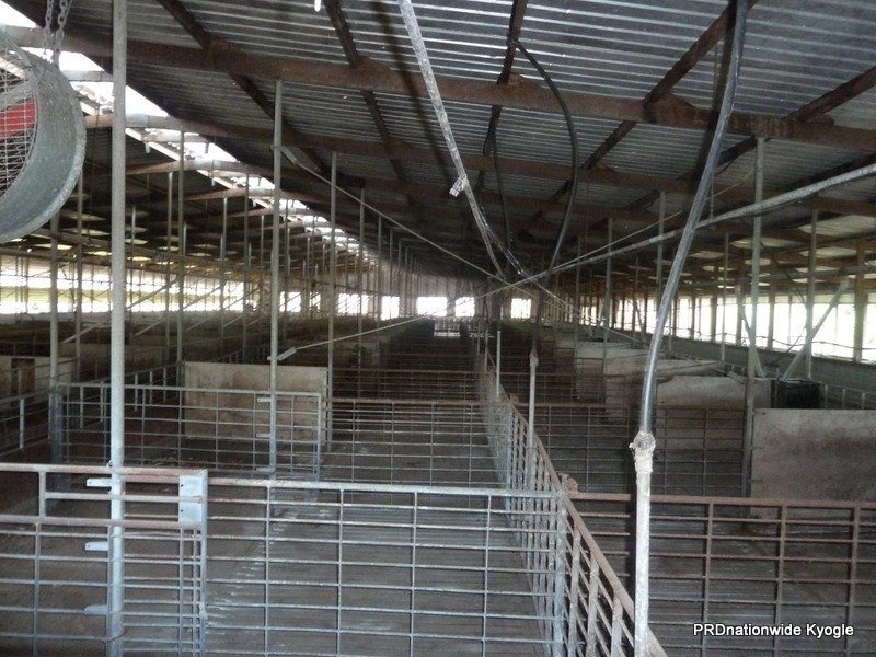 1061 Lynches Creek Road, Kyogle NSW 2474